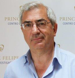 Vicente Felipo