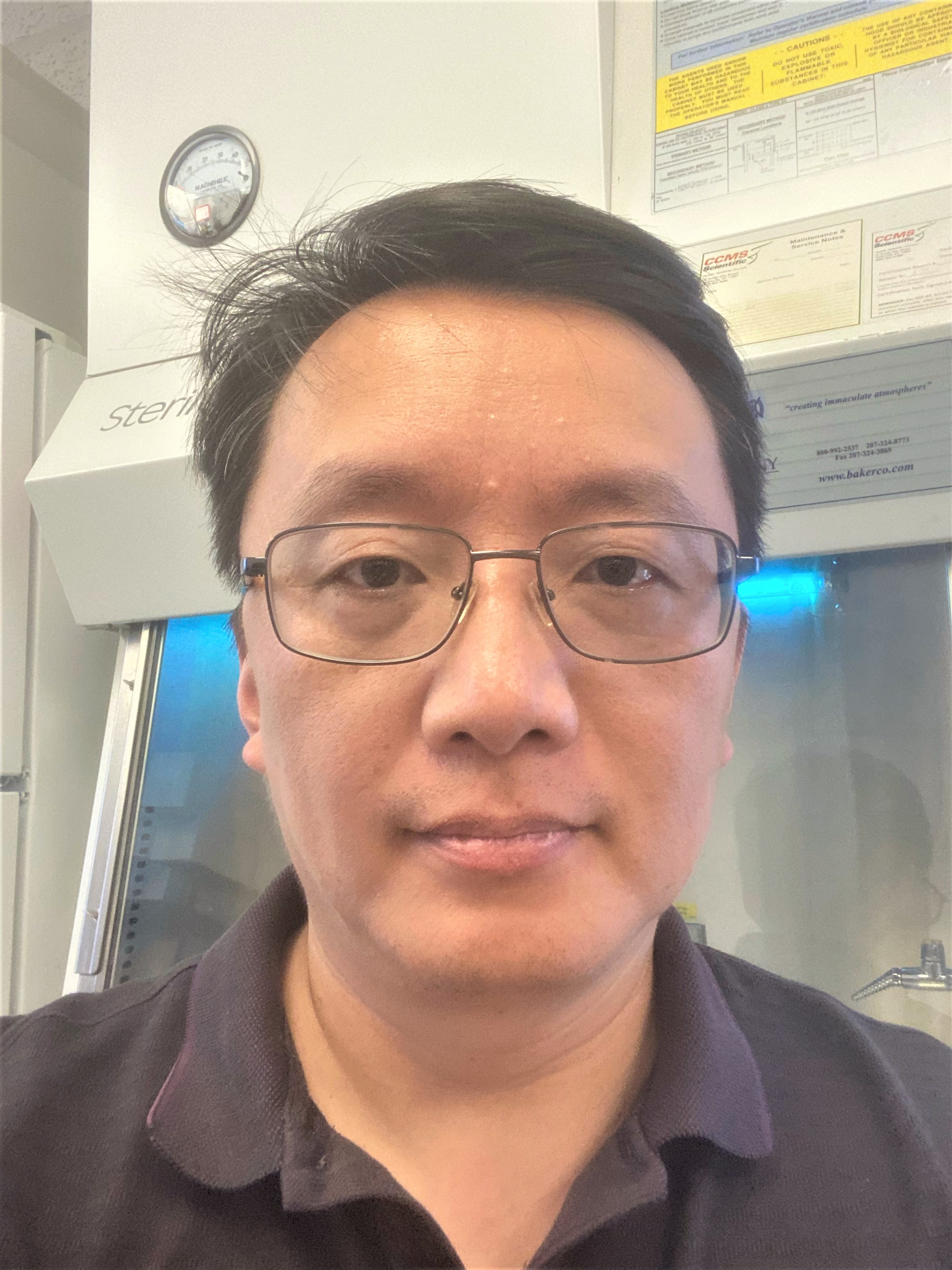 Professor Wei Zhu